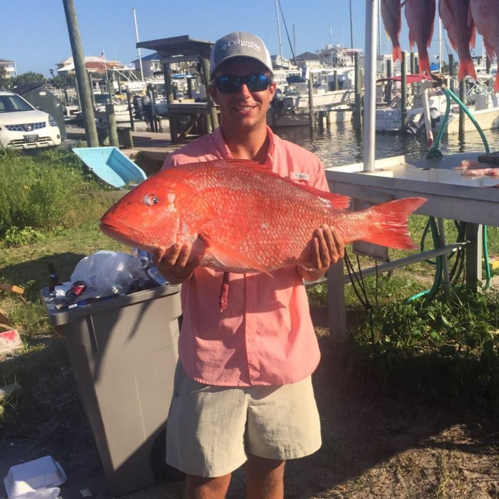 Meet your Posher, Riley